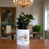 Personalised Ficus Compacta with Unique Touch